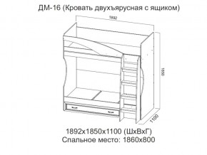 ДМ-16 Кровать двухъярусная с ящиком в Кизеле - kizel.magazin-mebel74.ru | фото