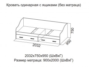 Кровать одинарная с ящиками (Без матраца 0,9*2,0) в Кизеле - kizel.magazin-mebel74.ru | фото