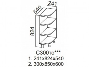 С300то Стол-рабочий 300 (торцевой открытый) в Кизеле - kizel.magazin-mebel74.ru | фото