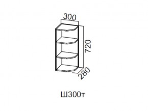 Ш300т/720 Шкаф навесной 300/720 (торцевой) в Кизеле - kizel.magazin-mebel74.ru | фото