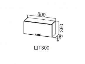 ШГ800/360 Шкаф навесной 800/360 (горизонт.) в Кизеле - kizel.magazin-mebel74.ru | фото