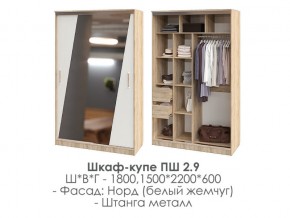 шкаф-купе ПШ-2.9 1500 Норд Белый жемчуг 1500 в Кизеле - kizel.magazin-mebel74.ru | фото