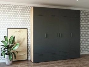 Шкаф распашной 2400К Антрацит в Кизеле - kizel.magazin-mebel74.ru | фото