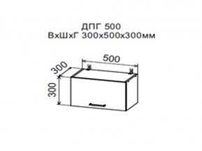 Шкаф верхний ДПГ500 горизонтальный в Кизеле - kizel.magazin-mebel74.ru | фото