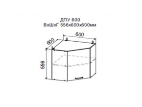 Шкаф верхний ДПУ600 угловой в Кизеле - kizel.magazin-mebel74.ru | фото